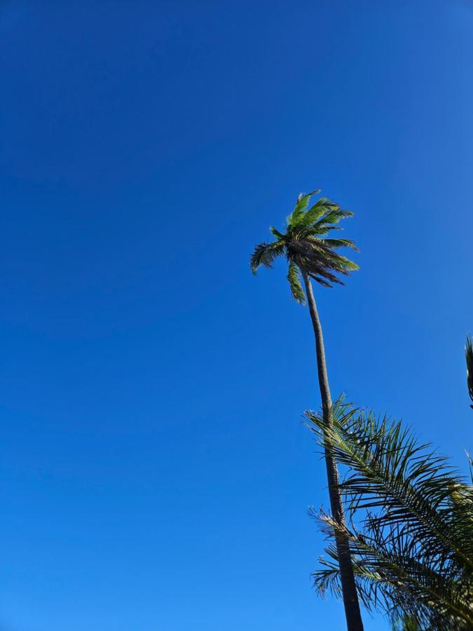 Al Mar Suites Praia do Forte Luaran gambar